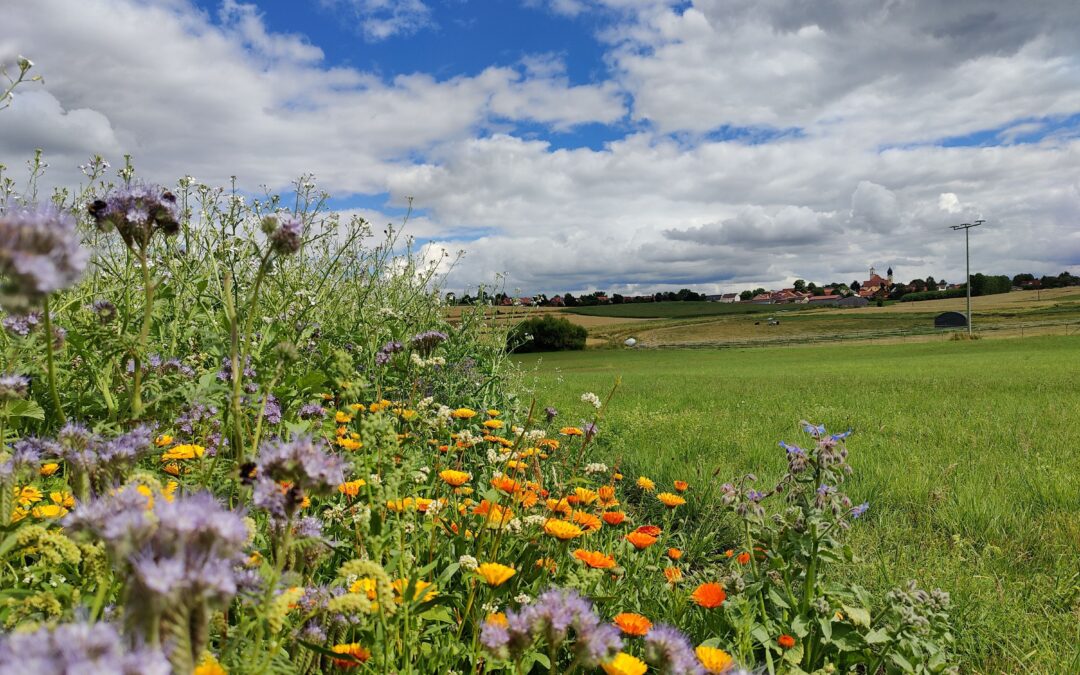 A.ckerwert – Verpachten für Mensch und Natur