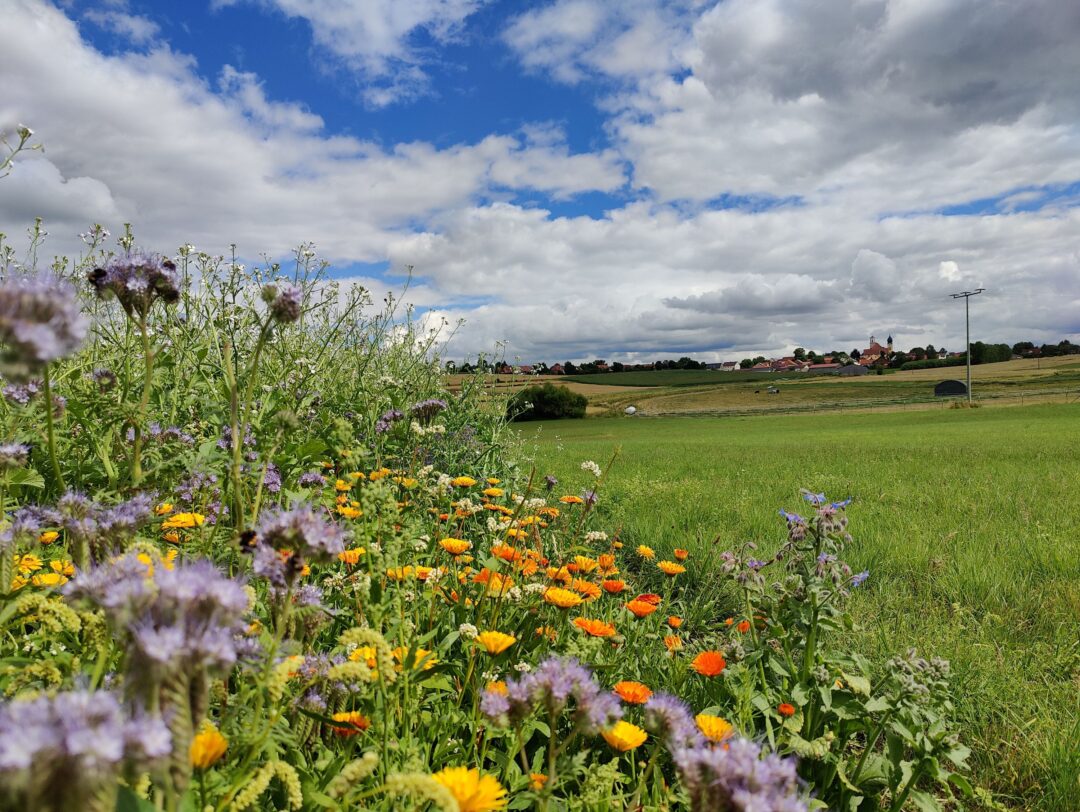 A.ckerwert – Verpachten für Mensch und Natur