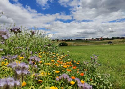 A.ckerwert – Verpachten für Mensch und Natur