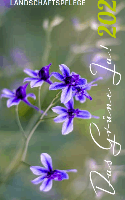 Das neue Veranstaltungsprogramm 2026 ist da!