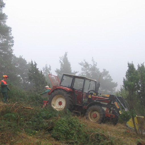 Entbuschung510x510NebelHerbst Buldog im Nebel auf dem Magerrasen