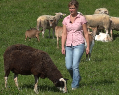 Biodiversität in der Landwirtschaft