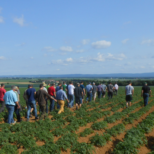 Kartoffeltag in Hellkofen am 06.06.2019