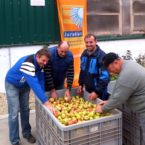 Juradistl-Streuobst – Unser Obst ist Mehrwert! Apfelsammlungen im Landkreis Regensburg durch Landschaftspflegeverband Regensburg