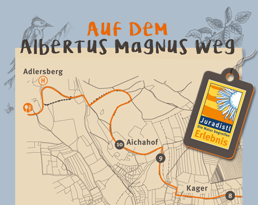Albertus-Magnus-Weg