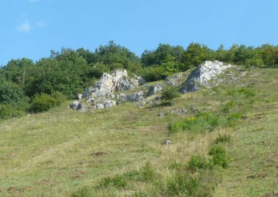 Keilsteiner Hang