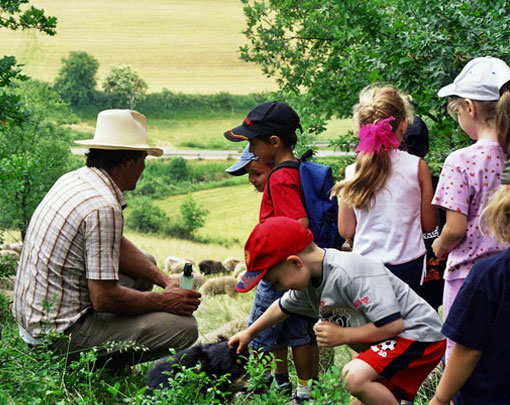 LPV-Startseite-Slider-2 Kopfweiden in der Flur bei Dengling