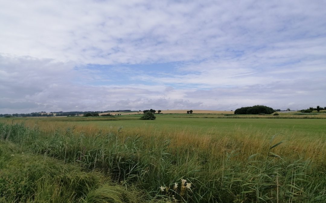 Naturschutz-Projekt Tal der Großen Laber bei Schierling