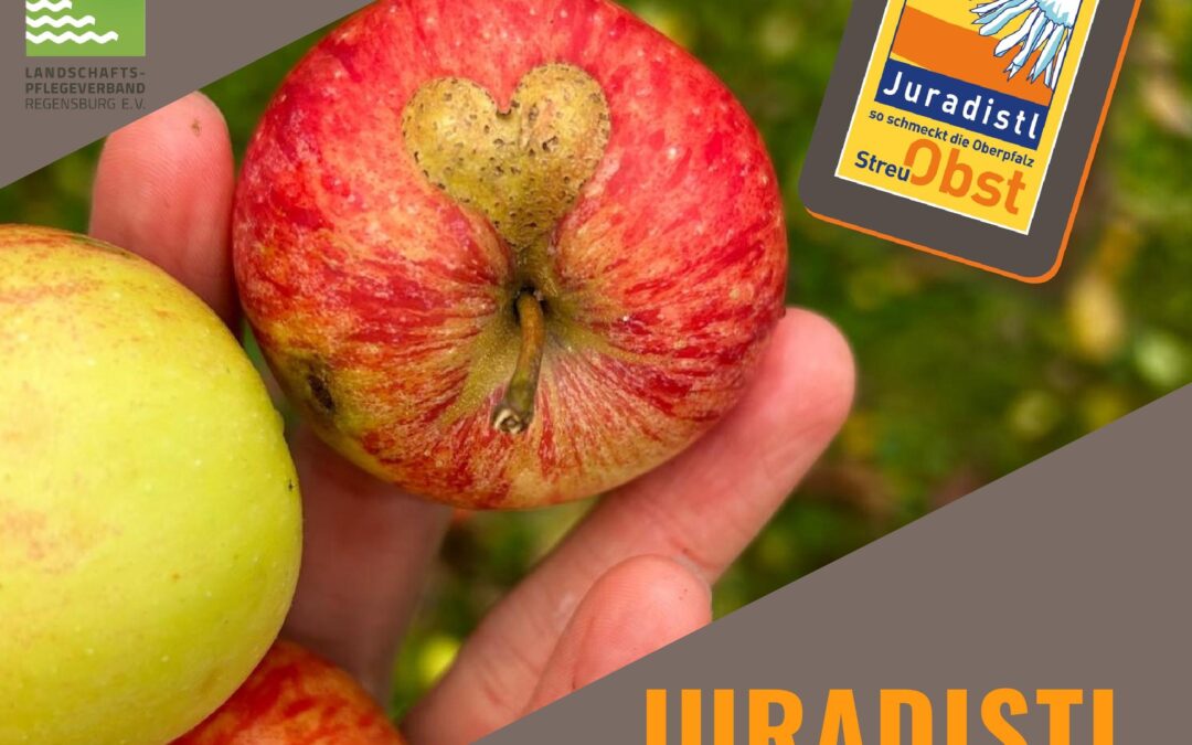 Auch diesen Herbst wieder: Juradistl-Apfelsammelaktion