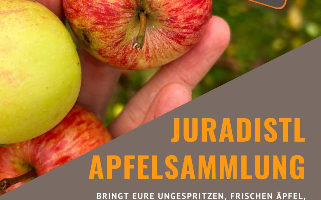 Auch diesen Herbst wieder: Juradistl-Apfelsammelaktion