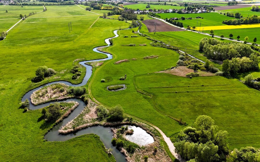 Faszinierende Natur, wirksamer Klimaschutz – Wanderausstellung „Moore und Klimaschutz“ im Landkreis Regensburg